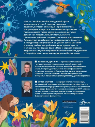 Мозг и нервная система