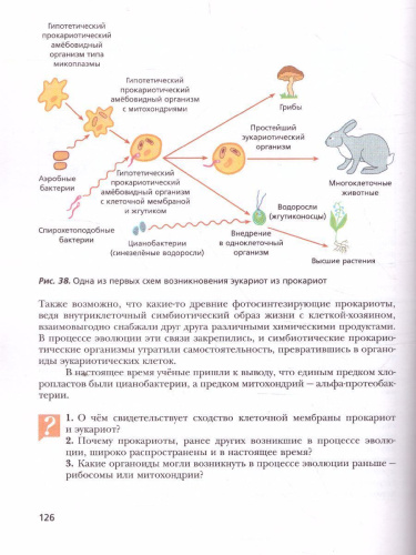 Биология 11 класс. Базовый уровень. Учебник. ФГОС