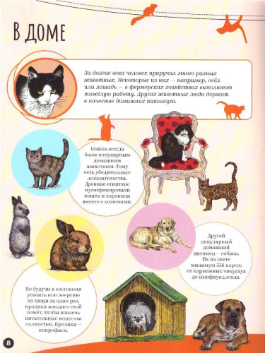 Млекопитающие Удивительный мир животных