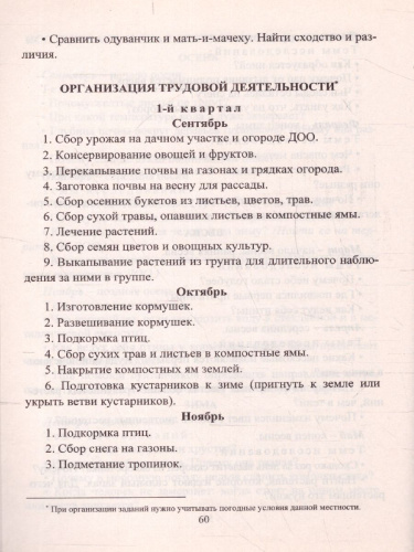 Исследовательская деятельность на прогулках: экологические занятия с детьми 5-7 лет