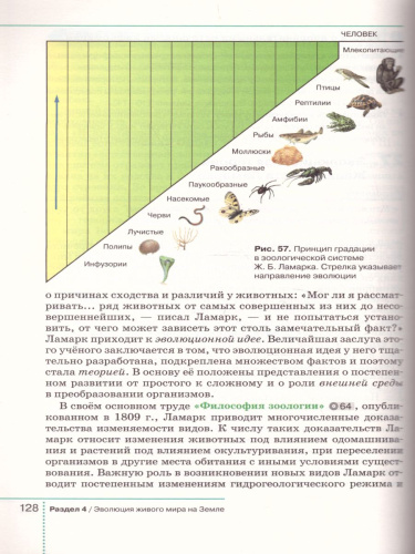 Биология 9 класс. Учебник. ФГОС