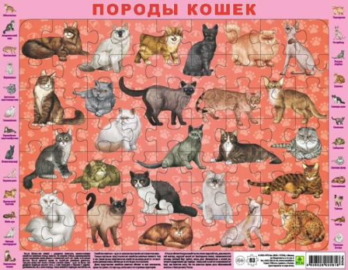 Детский пазл на подложке. Породы кошек. (36х28 см, 63 эл.)