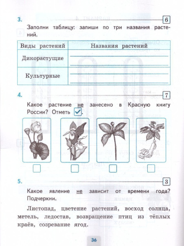 Окружающий мир 2 класс. Проверочные работы (к новому ФПУ). ФГОС