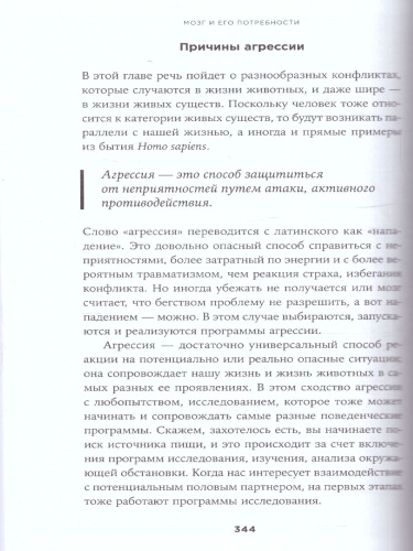 Мозг и его потребности: От питания до признания