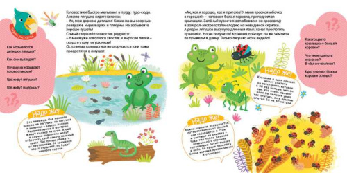 Маленькие чудеса большого мира