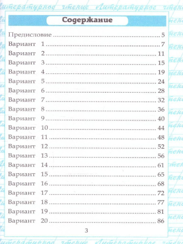 Чтение 4 класс. Работа с текстом. ФГОС Новый
