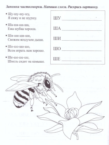 Логопедические прописи. Ж, Ш: учим звуки и буквы. Для детей 4-6 лет