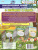 Природоохранные навыки поведения в природных условиях с ребенком в парке. Ширмы с информацией для родителей и детей