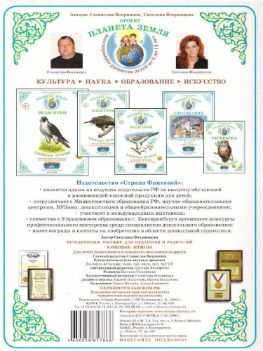 Дидактический материал "Хищные птицы"