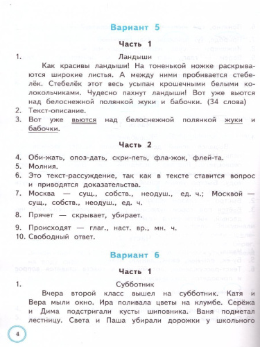 ВПР Русский язык 2 класс. Практикум. ФГОС