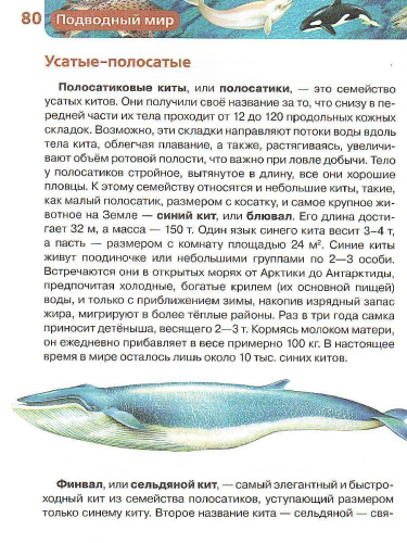 Подводный мир