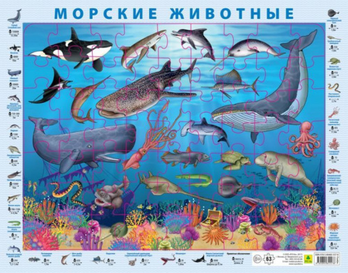 Морские животные. Детский пазл на подложке(36х28см, 63 элемента)