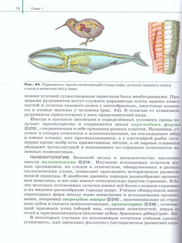 Биология 11 класс. Базовый и углубленный уровни. Учебник