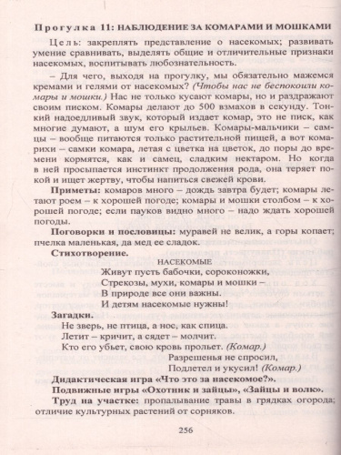 Организация деятельности детей на прогулке: средняя группа