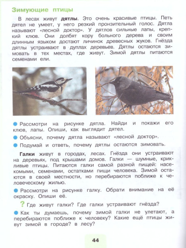 Мир природы и человека 3 класс. Учебник в 2-х частях. Часть 2. (для обучающихся с интеллектуальными нарушениями)