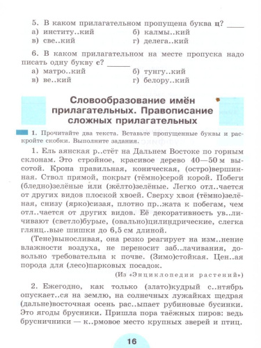 Русский язык 6 класс. Рабочая тетрадь. Часть 2