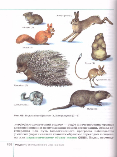 Биология 9 класс. Учебник (концентрический курс)