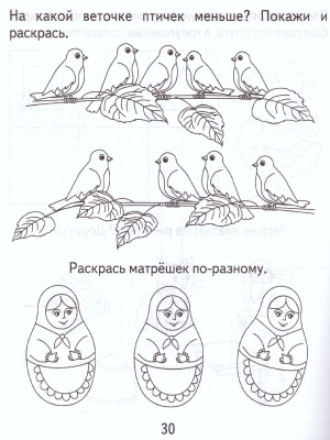 55592797-2