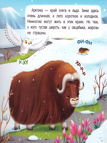 В холодных краях: книжка-гармошки /Первые звуки