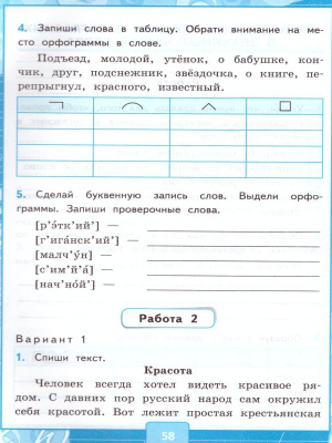 55609638-3