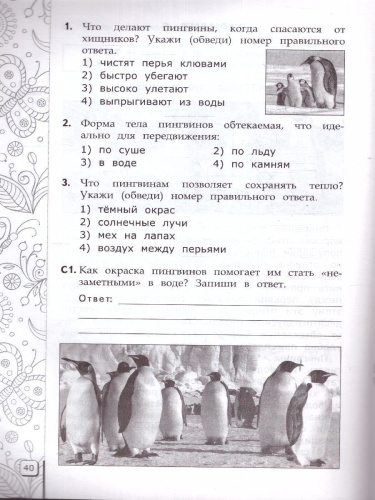 ВПР Читательская грамотность 3 класс. 10 вариантов ТЗ. ФГОС