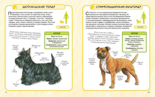Собаки. Практическая энциклопедия. 50 шагов в мир знаний