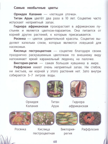 Энциклопедия дошкольника: 5-6 лет Первая книга знаний