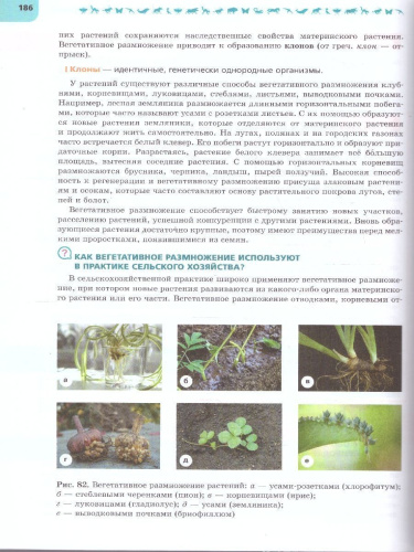 Биология 7 класс. Углублённый уровень. Учебник. ФГОС