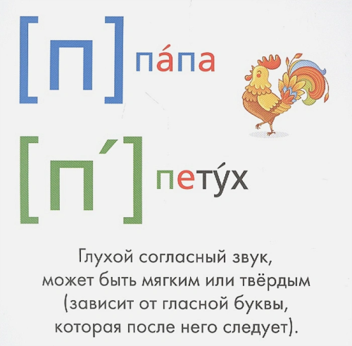 Русский язык. Буквы и звуки Карточки в ладошке