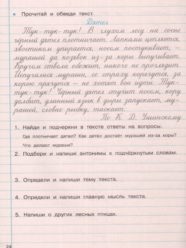 Тренажер по чистописанию и развитию речи 2-4 класс