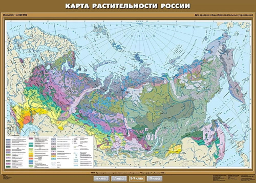 Карта. Растительность России (100x140см)