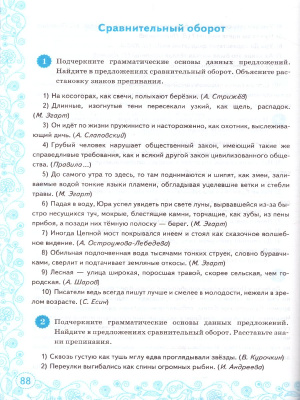 55637618-3