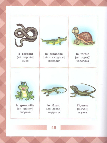 Детский французско-русский визуальный словарь