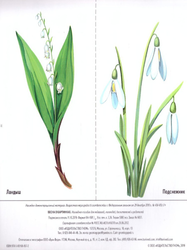 Весна в картинках. Наглядное пособие для педагогов, логопедов, воспитателей и родителей