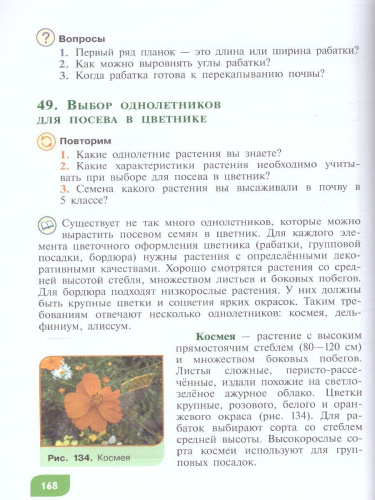 Технология 6 класс. Цветоводство и декоративное садоводство (для обучающихся с интеллектуальными нарушениями)