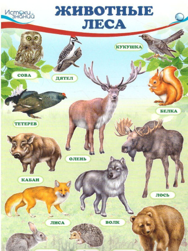 Комплект Домашние логопедические тетради. Учим слова и предложения. 2 тетради 4-5 лет