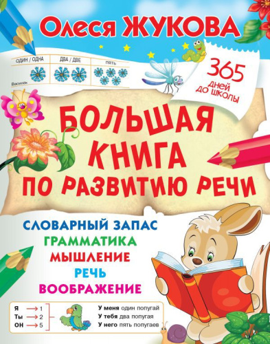 Большая книга по развитию речи. 365 дней до школы