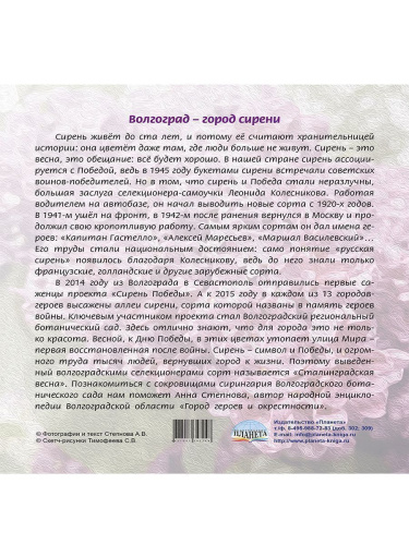 Календарь-домик 2024 настольный перекидной "Волгоград - город сирени"