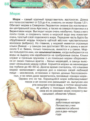 55607073-3