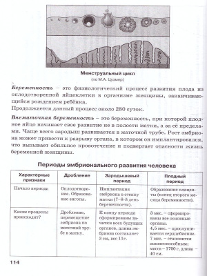 55598752-3