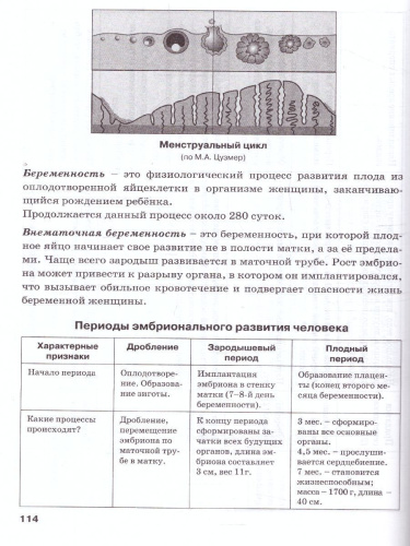Биология человека в таблицах и схемах. Человек и его здоровье