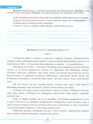 Подготовка к ВПР. Русский язык 5 класс. Тренажер. ФГОС