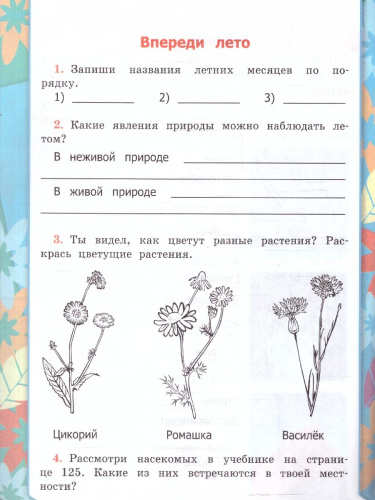 Окружающий мир 2 класс. Рабочая тетрадь. Часть 2. К новому учебнику. ФГОС НОВЫЙ