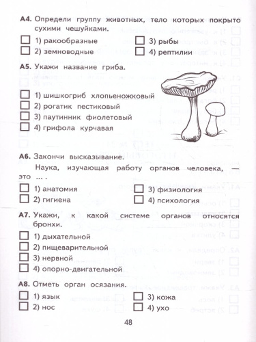 КИМ Окружающий мир 3 класс. Итоговая аттестация. ФГОС