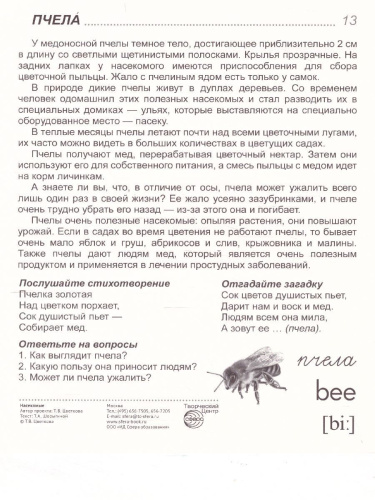 Демонстрационные картинки СУПЕР. Насекомые. 16 демонстрационных картинок с текстом 173х220 мм
