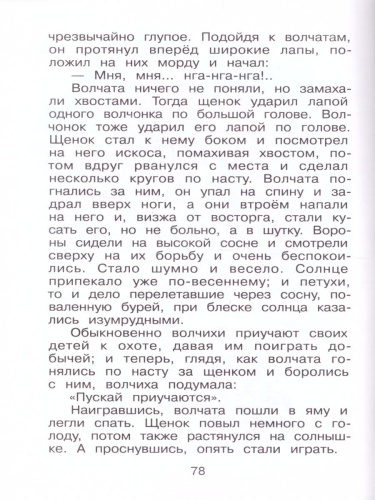 Каштанка и другие рассказы