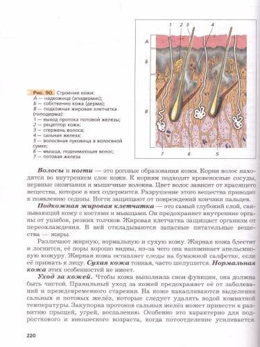 Биология 8 класс. Учебник. ФП