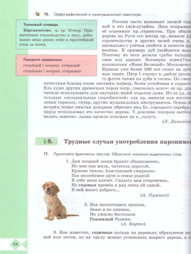 Русский родной язык 7 класс. Учебник