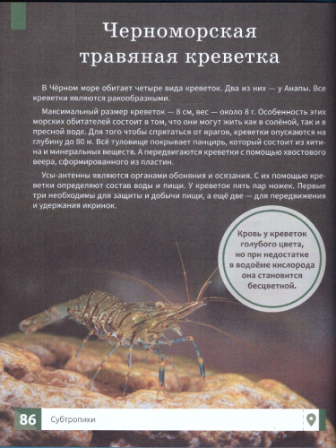 Энциклопедия. Природа России. Умная энциклопедия