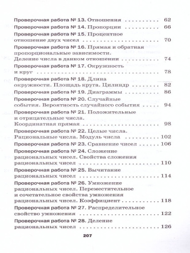 Математика 6 класс. Проверочные работы